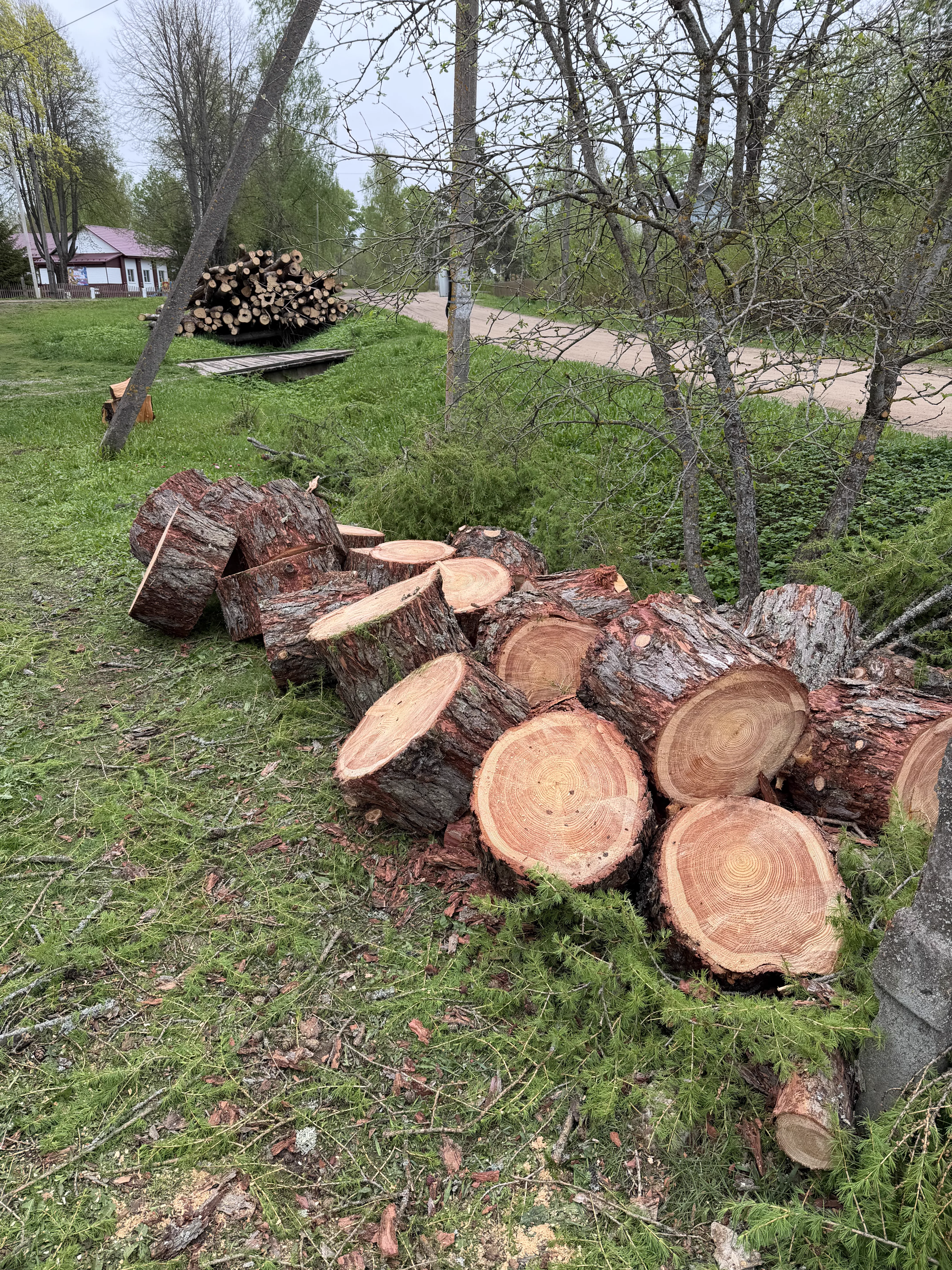 Распил деревьев, фото с объекта