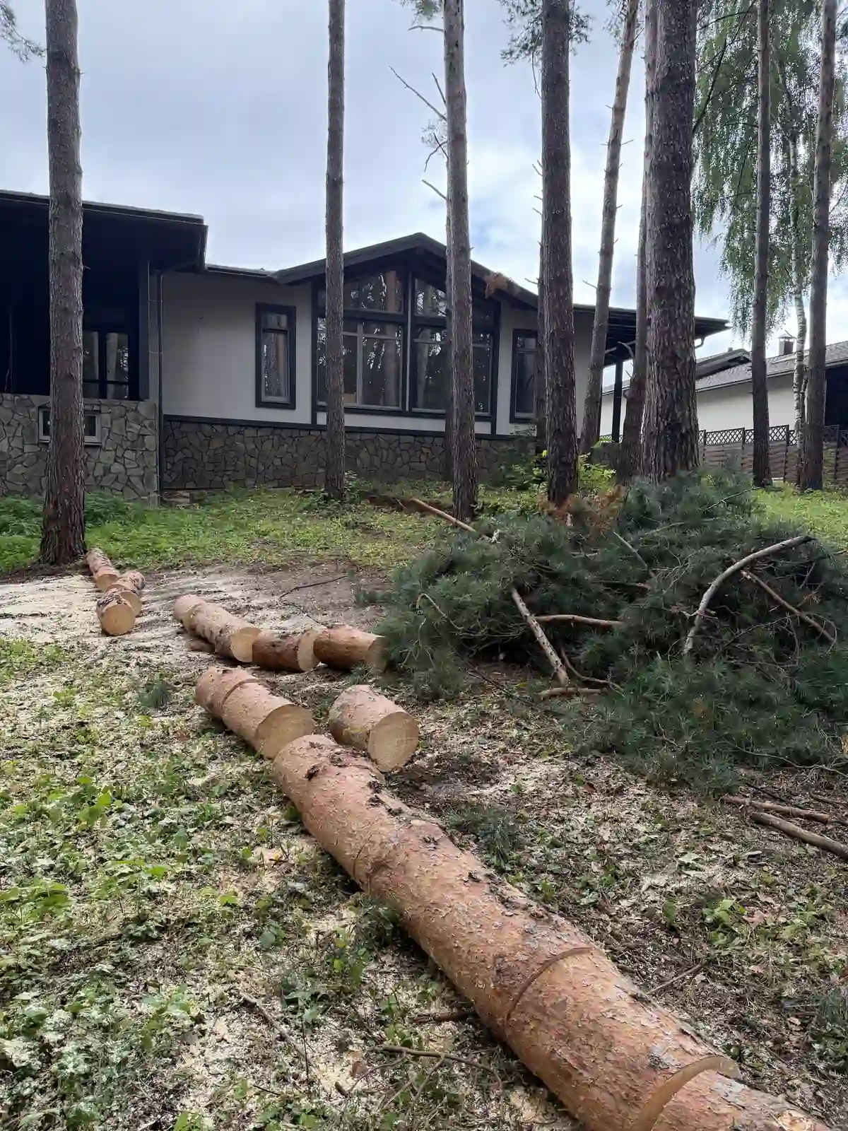 Распиленные стволы сосны сложены у дома после удаления наклонных деревьев в коттеджном посёлке