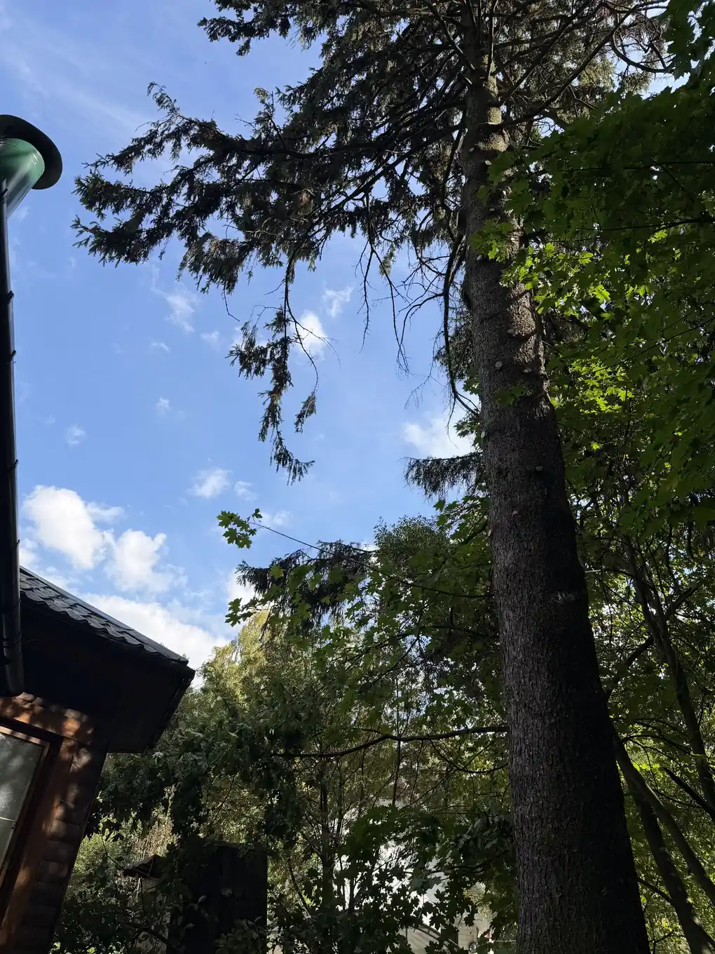 Вид со двора после снятия нависающих веток