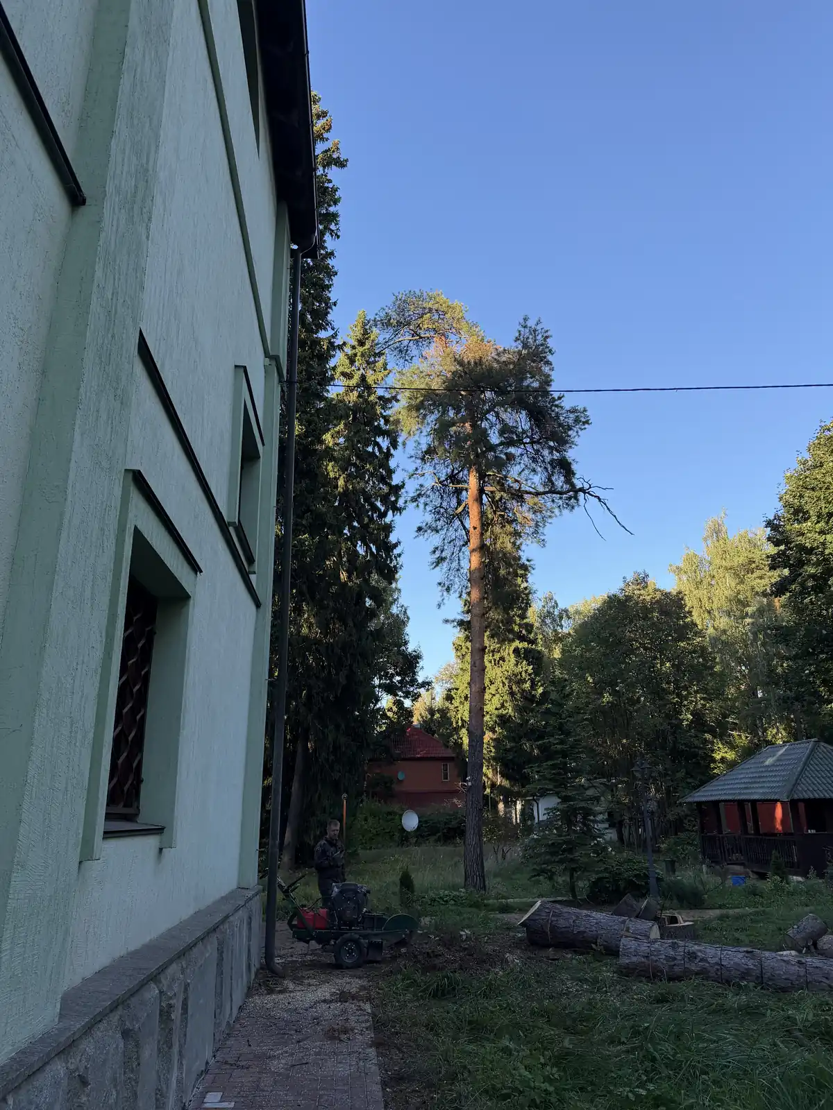 Участок в Рузе после удаления сухой ели и уборки