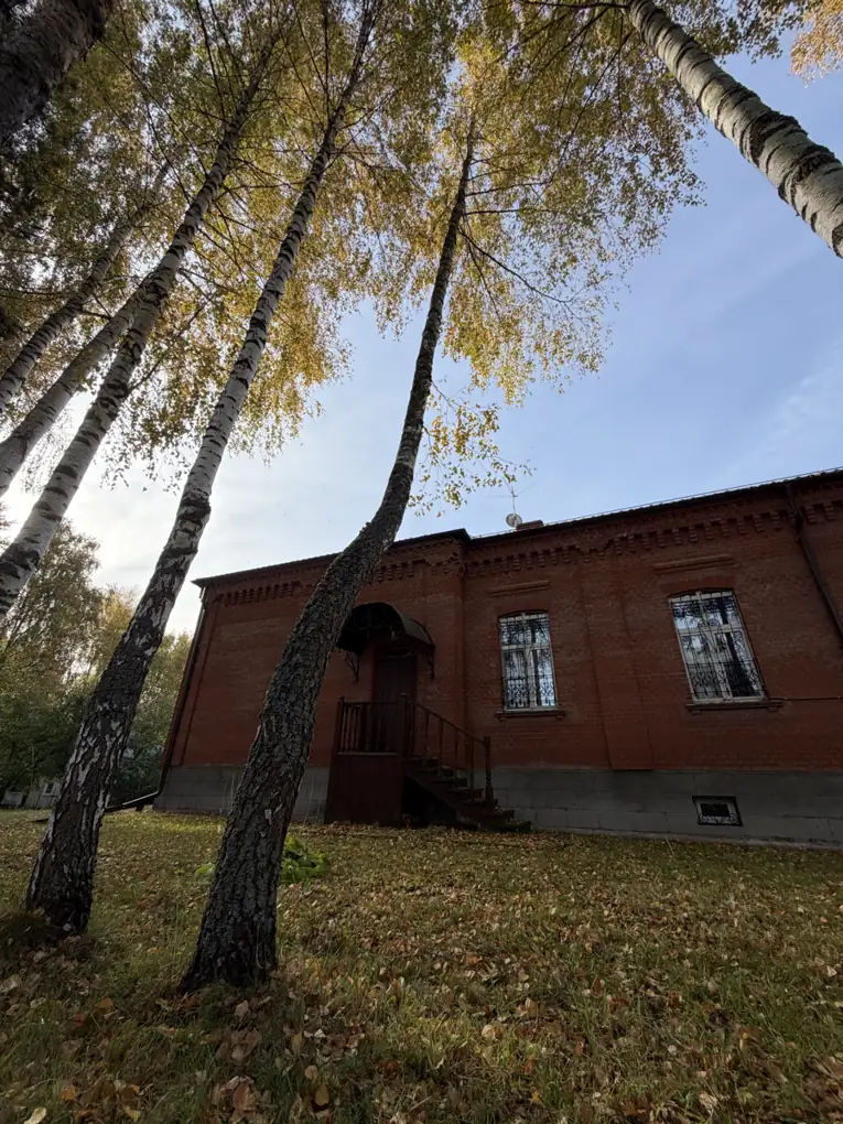 Наклонная берёза рядом с кирпичным домом до спила